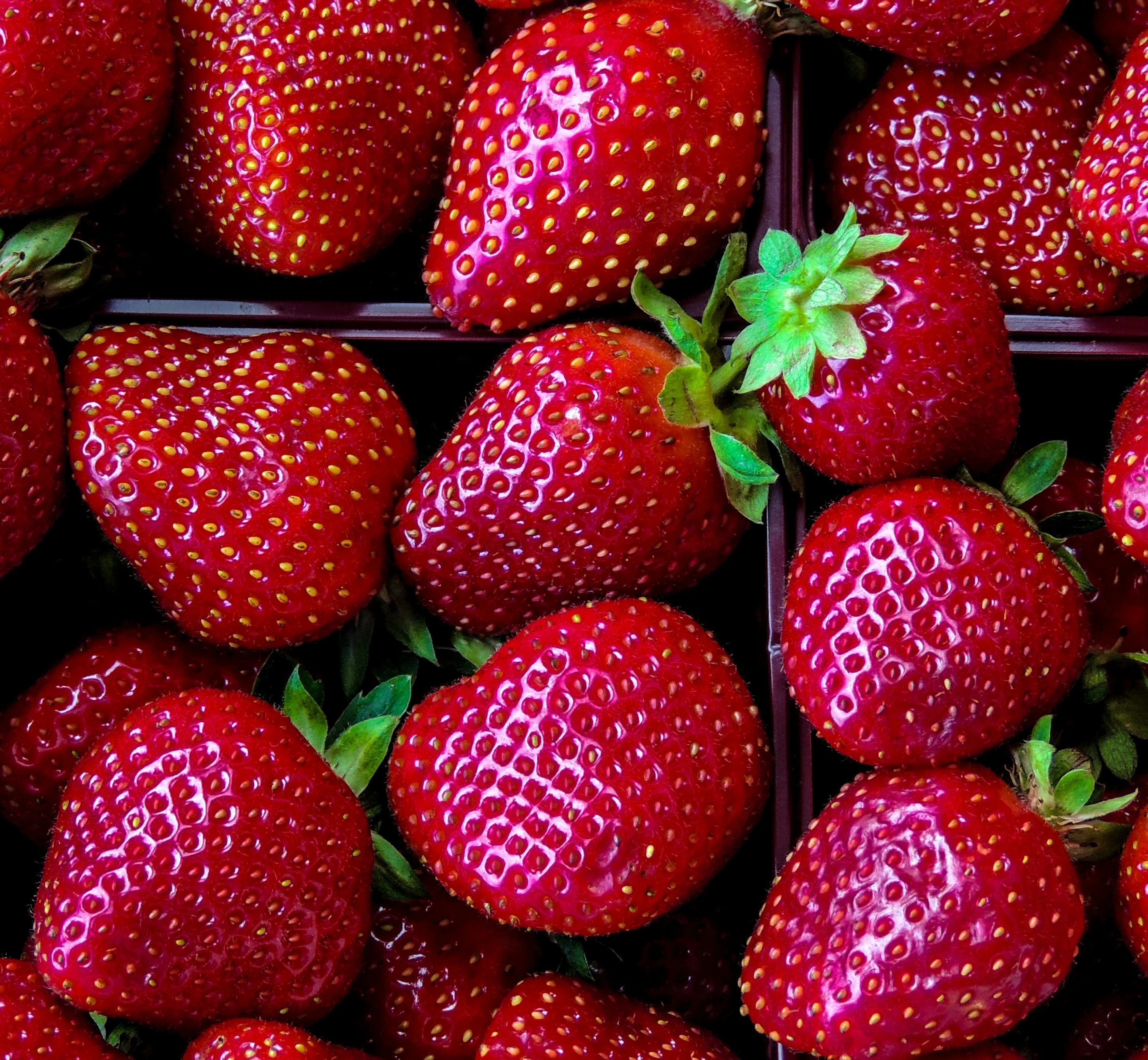 Fruity